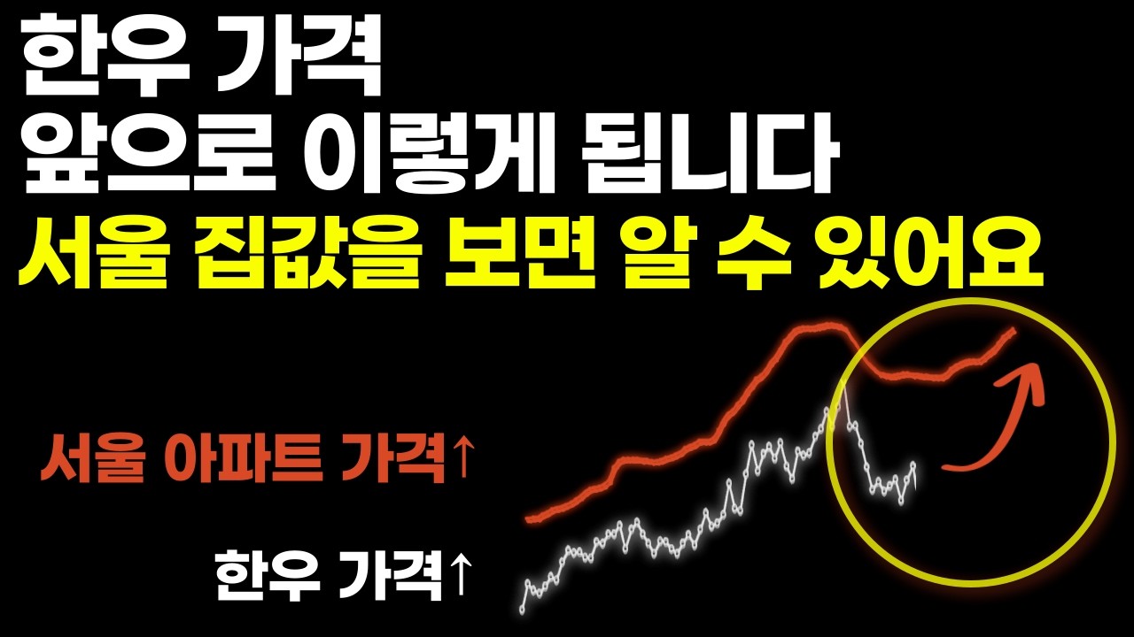 폭등한 소값, 언제까지 계속 오를까? (한우 가격)