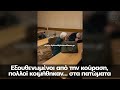Αποζημίωση 2.000 ευρώ σε κάθε όχημα που εγκλωβίστηκε