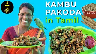 Kambu Pakoda Recipe | With Talking Parrot?| #Eveningsnacks #kitchengarden