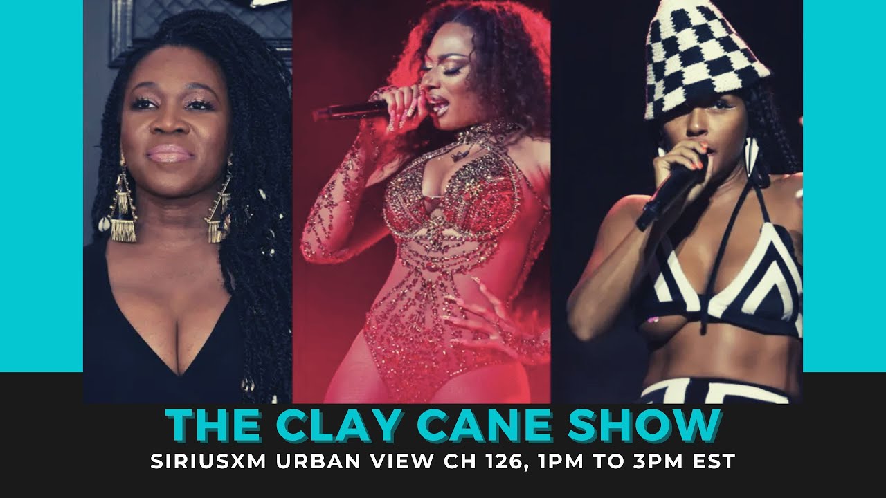 Clay Cane on LinkedIn: Respectability Politics? India.Arie Not Happy W/ Meg  Thee Stallion At…