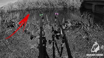 DELKIM RUN COMPILATION 2021! EXTREME CARP RUN! (High Quality)