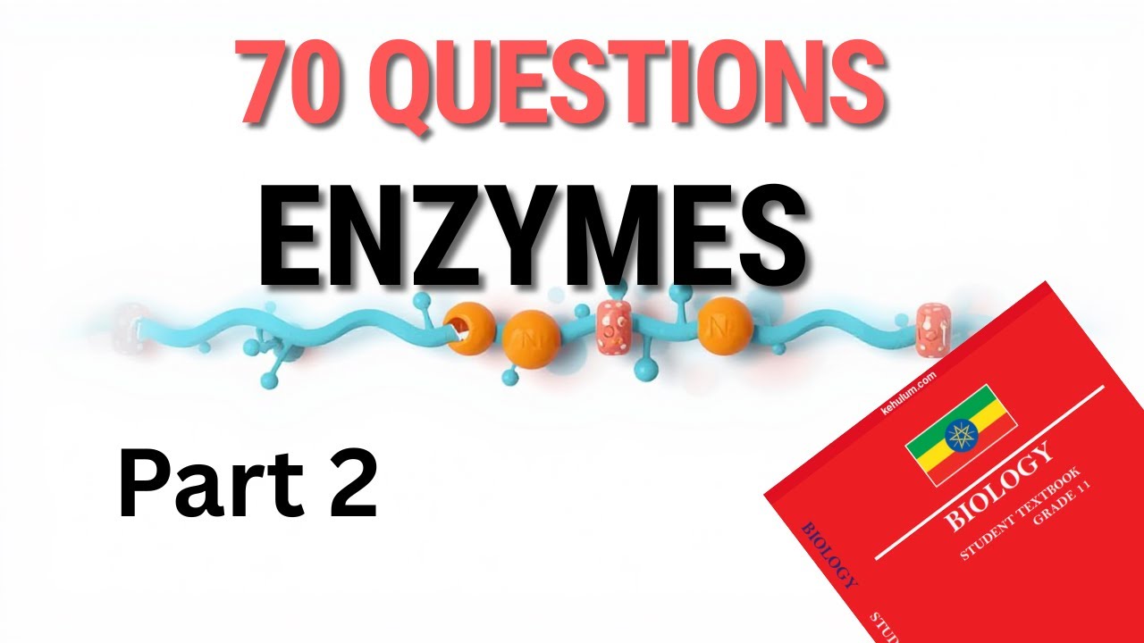Enzymes – 70 Important Biology Questions & Answers | Grade 11–12 Exam ...