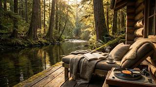 Golden Hour Forest Cabin Ambiance 🍂 Quiet River, Vinyl Record Player & Smooth Jazz Live screenshot 5