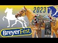 My breyerfest 2023 experience and haul