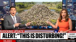 Florida’s Anti Python Team Released Footage and ONE Detail Changed Everything