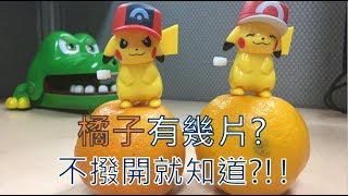 冷知識小實驗-這顆橘子有幾片