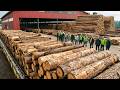 How Most Advanced Timber Mills Turn Logs Into Perfect Lumber | From Forest to Finished Products