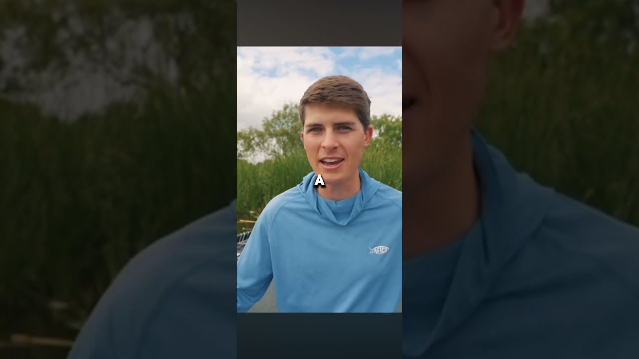 Use the top water popper like this for big bass!