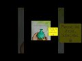 Pot Painting | decor | 1minute hack