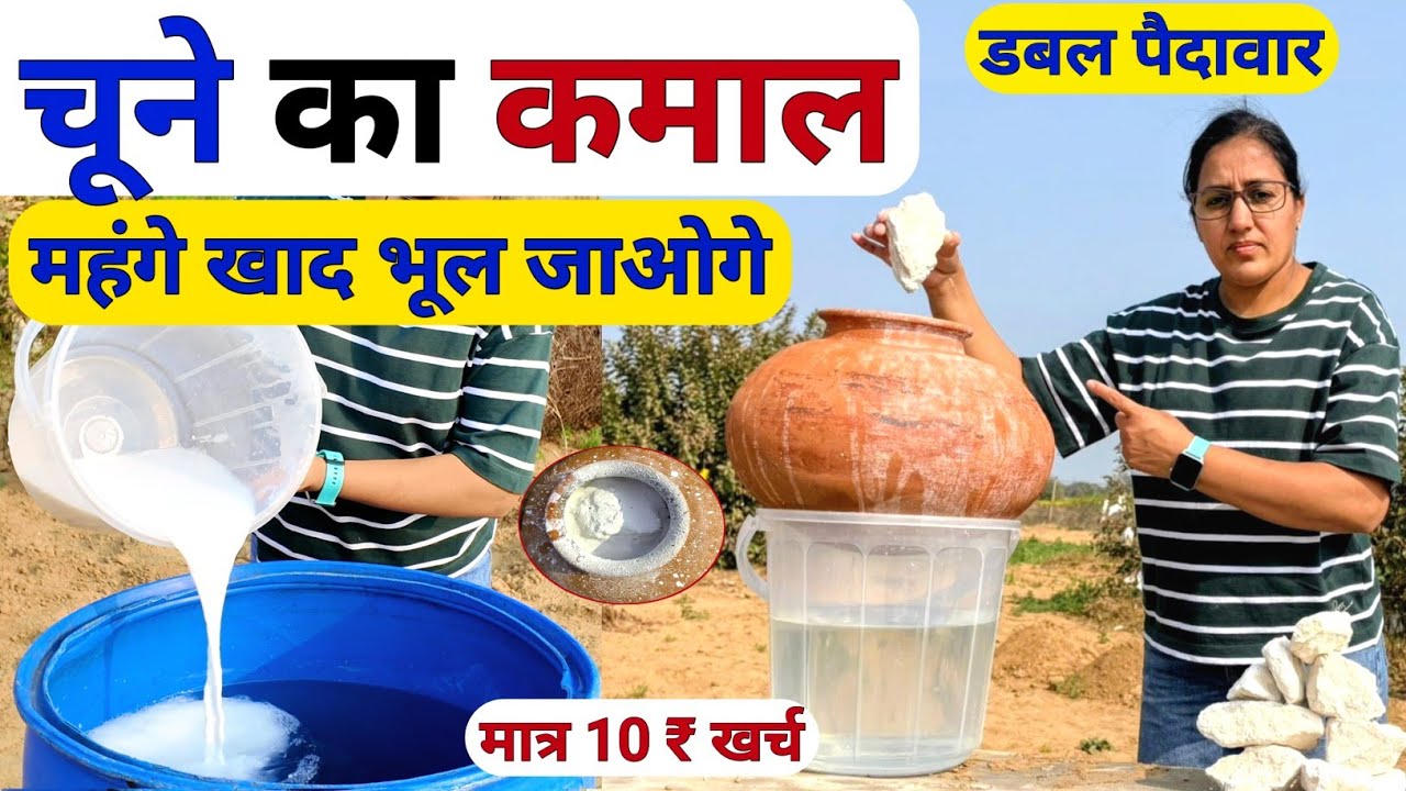 खेती में चूना पत्थर का कमाल | Lime uses in agriculture | kheti me chune ka upyog | Glucon-D ka spray