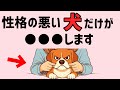 性格の悪い犬だけが●●します 雑学 保護犬 こいぬ dog 病気 知恵