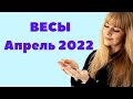 ВЕСЫ апрель 2022. Расклад Таро Анны Ефремовой