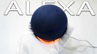 Celebrity All-New Echo Dot 5th Gen Alexa Unboxing -ASMR Wealth