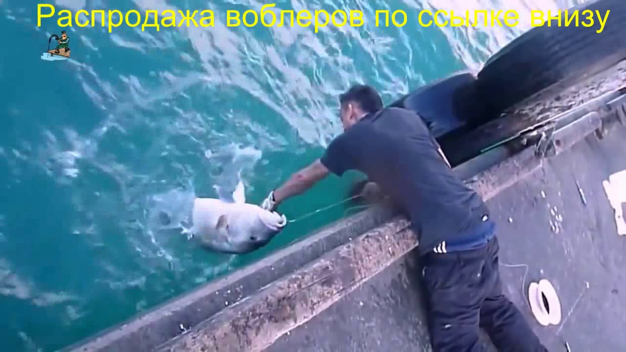 Фирма мегабасс - YouTube