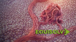 Medical Animation Video Productions | Scientific 3D Animation  - Equisolve