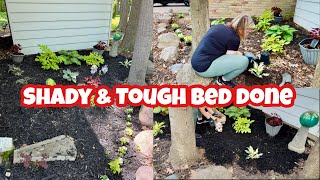 FINISHING A SHADY & TOUGH GARDEN BED. New shade perennials and annuals to complete the shed bed 