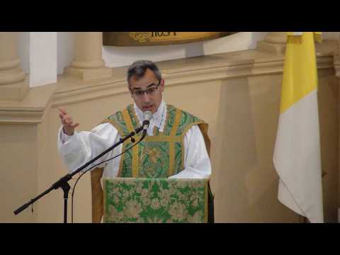 Sermon by Father Mario Trejo. Eighteenth Sunday after Pentecost - FSSPX