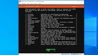 Ubuntu Server 20.04 Installation