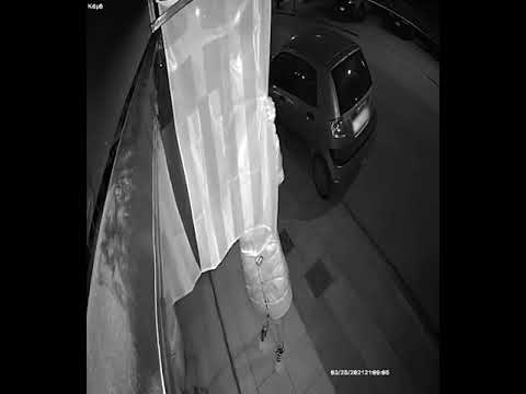 Οργή Ελλήνων για την «κυρία» που ξέσκισε την Ελληνική σημαία - Ποια είναι