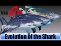 Maneater - Evolution of All Shark Sizes