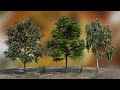 Blender'da Kaliteli Ağaç Ve Bitki Modelleri Nasıl Bulunur ?