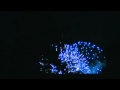 SmokingPit.com - 1st Yoder YS640 Smoke &amp; Commencement Bay Fireworks July 4th 2011.mp4