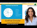 Crea y personaliza una gráfica circular #excel