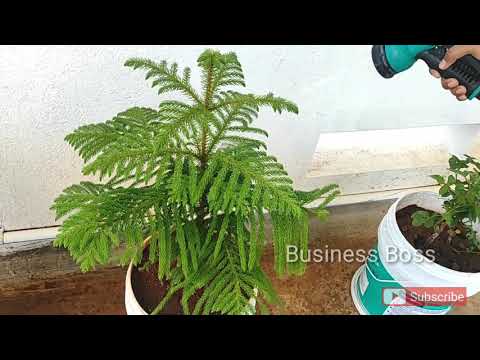 RESELLING BUSINESS