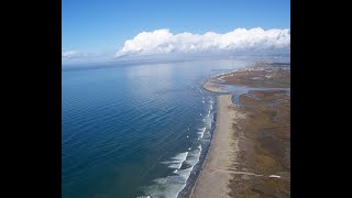 Salt Marsh Secrets at Tijuana Estuary Natural Preserve