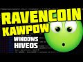 Майнинг Ravencoin (Kawpow): батники, полетники под HiveOS, майнеры под различные видеокарты и т.д.
