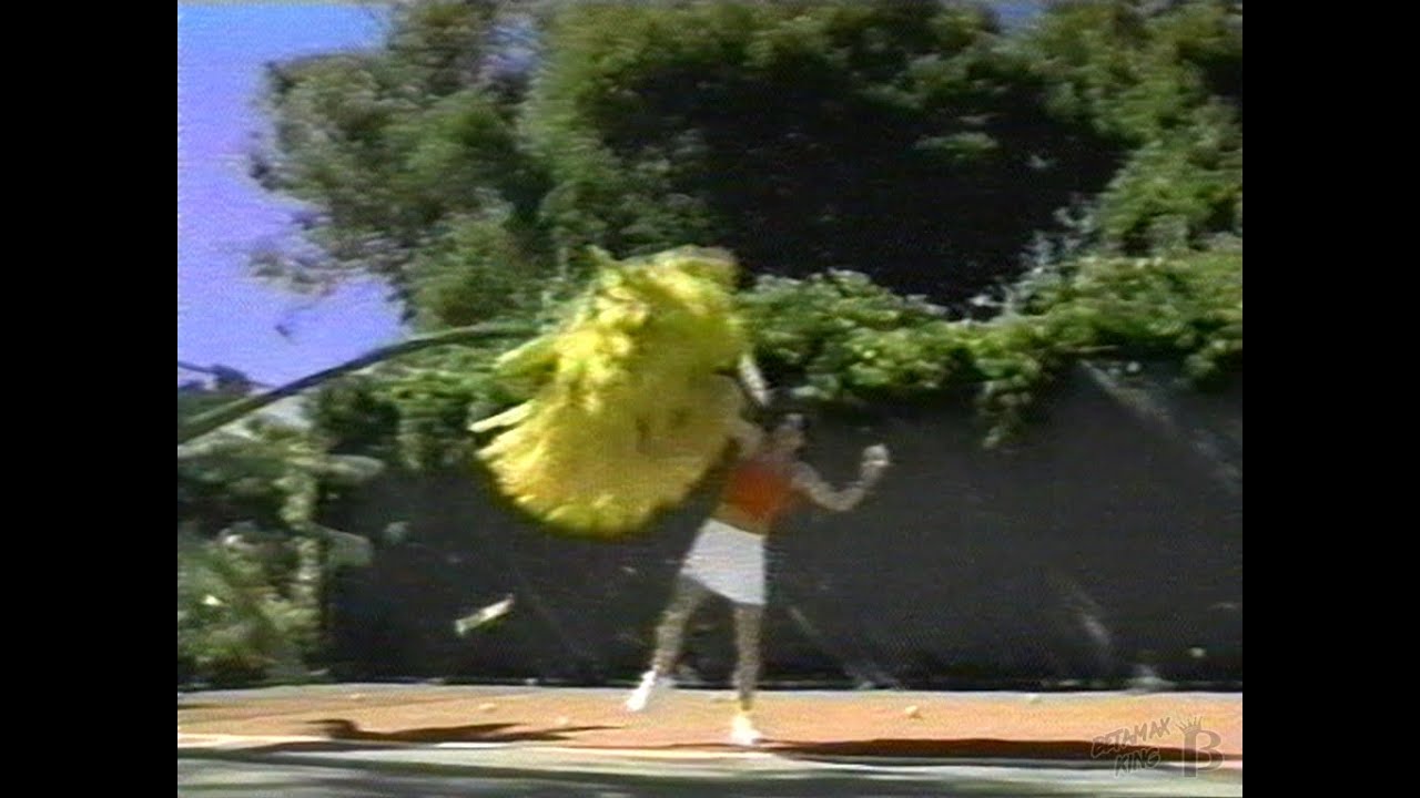 Allegra Allergy Medication (Huge Dandelion) Commercial 2000 YouTube