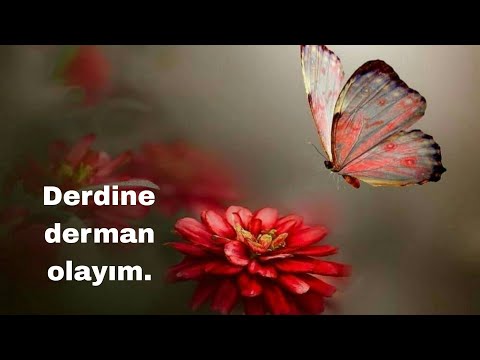 Derdine derman olayım. Çok duygusal bağlamalı fon müziği. Telifsiz.