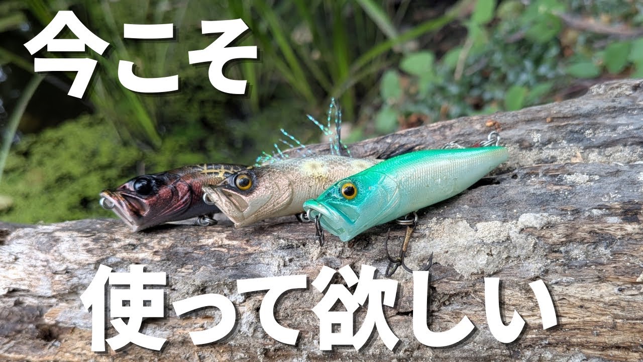Legendary Lure] I tried using the Megabass Pop-X again and it