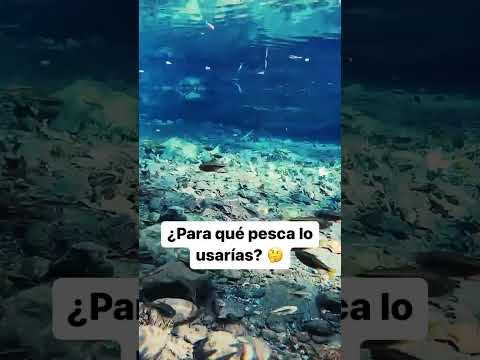 Video: ¿Funcionan los corchos en agua dulce?