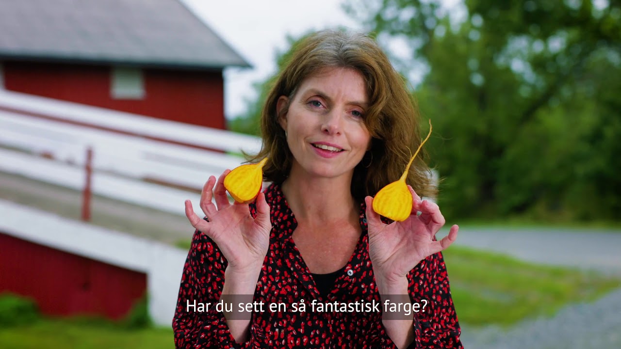 Norske rotgrønnsaker 3 - Ovnsbakte rotgrønnsaker