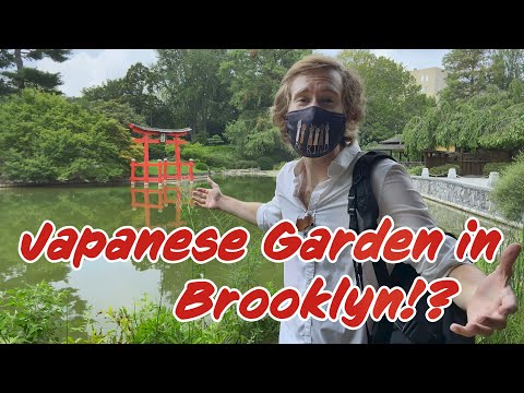 Vidéo: Endroits à visiter près des jardins botaniques de Brooklyn