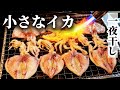 小さなイカは一夜干しが大正解！冷蔵庫で一晩寝かせるだけ