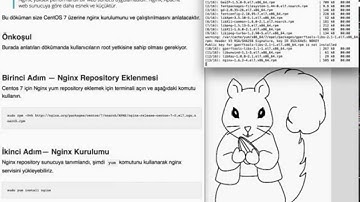 how to install nginx on centos 7
