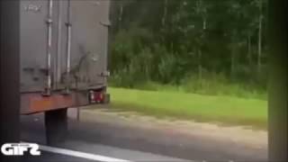T2(GIF)