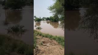 22 setptember Multan selab kam ho geya