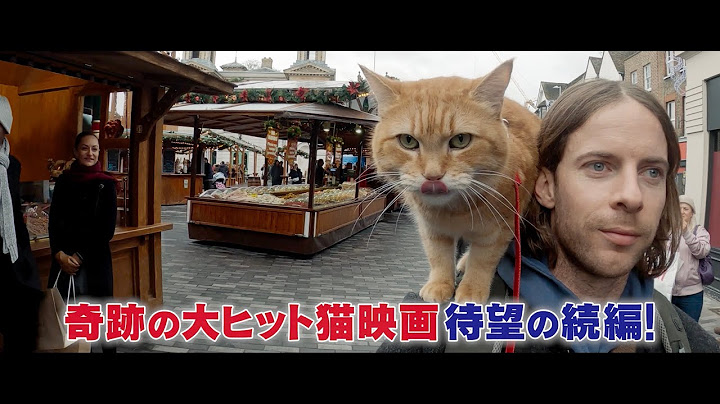 映画『ボブという名の猫2 幸せのギフト』の予告映像 （11/29解禁）