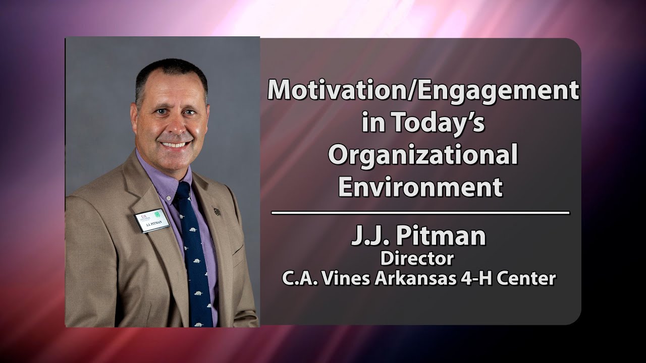Motivation/Engagement in Organizations - Promo