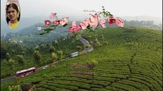 Ilangkiliyae tamil karaoke  for male singers resung by 😍VANISRIDASAN😍