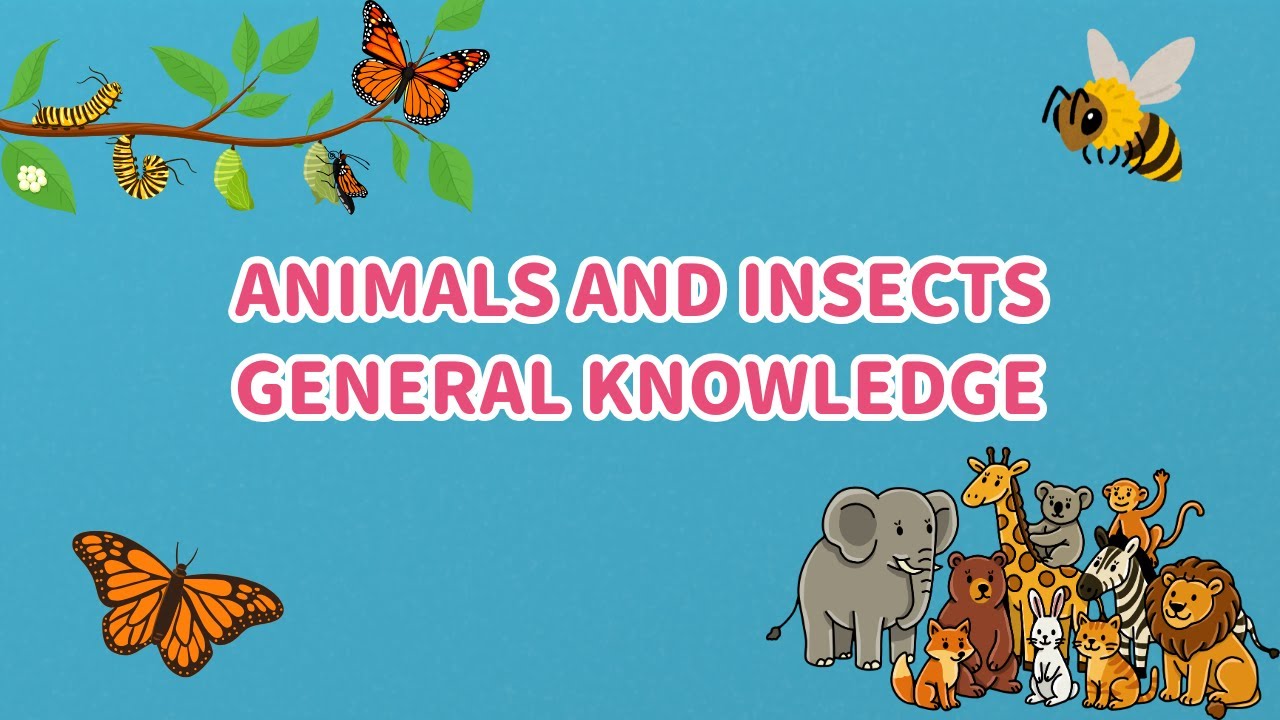 Animals & Insects General Knowledge | Educational Video for Kids