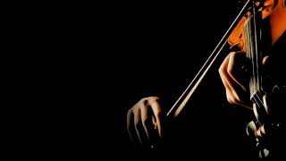 Malayalam Instrumental    Violin Ringtone BGM // Feel The Music // #bgmrigtones #youtube