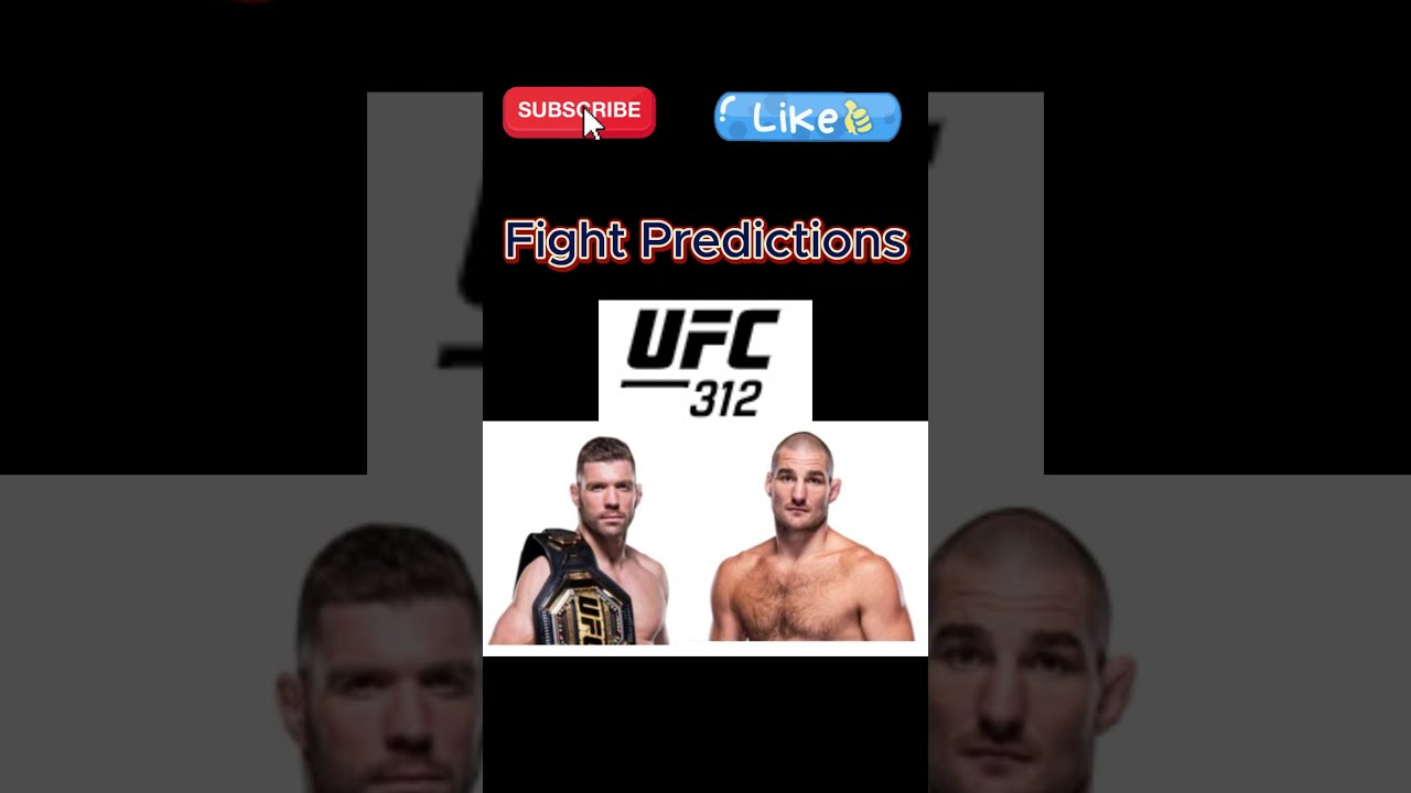 UFC 312 Fight Card Predictions 