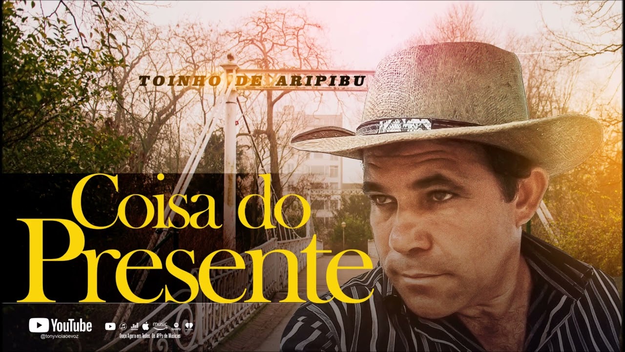 Toinho de Aripibu - Coisa do Presente