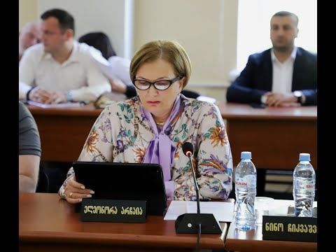 ელეონორა არჩაიას ინიციატივა - “სტუდენტთა სტაჟირების პროგრამა”