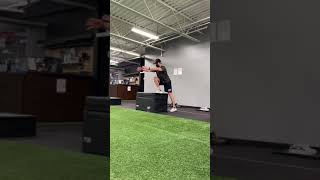 Tall Box Step Up - Bodyweight