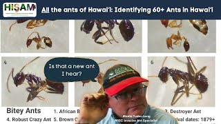 All the ants of Hawaiʻi